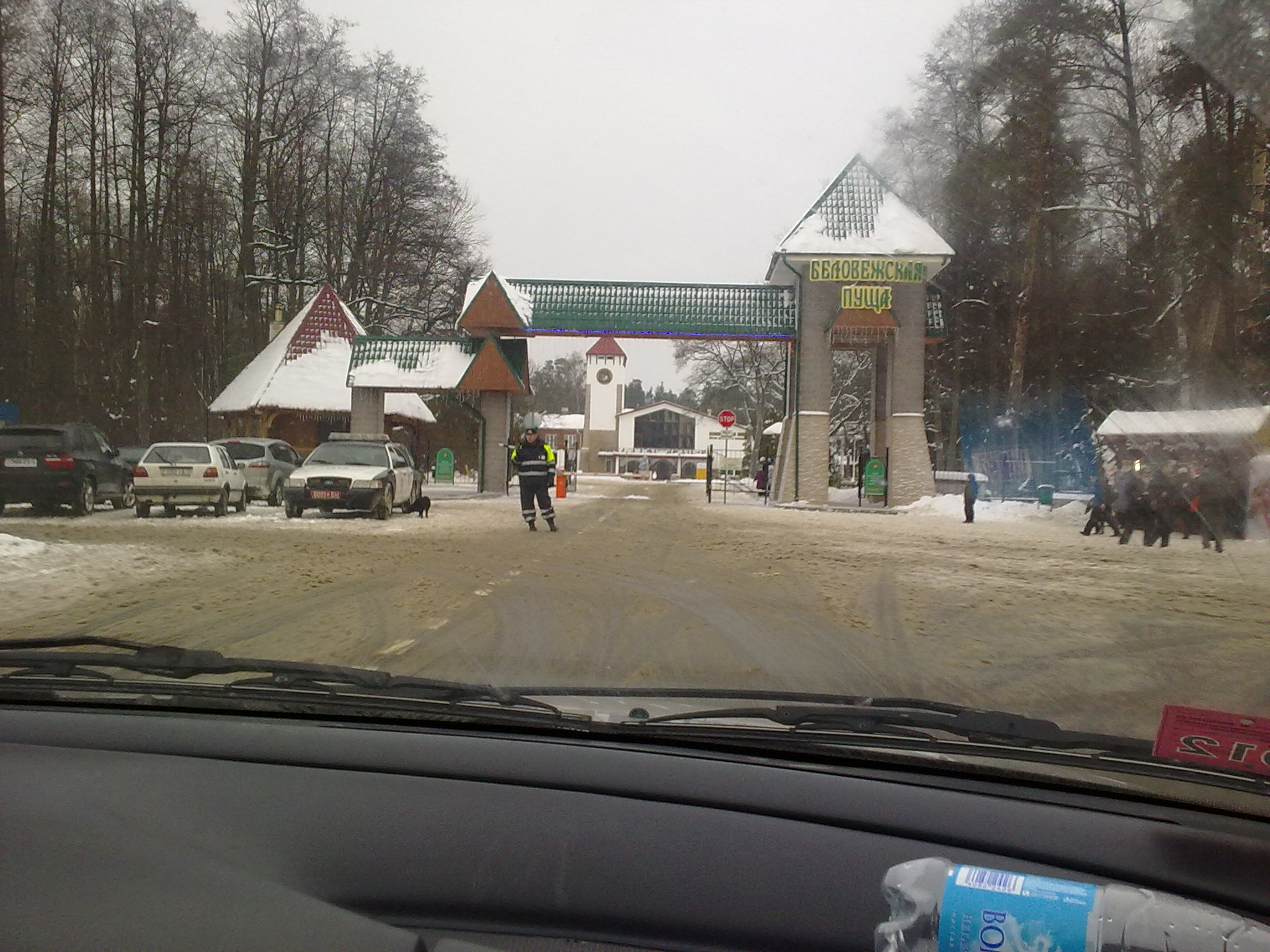 Ворота в Беловежскую пущу